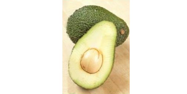avocado